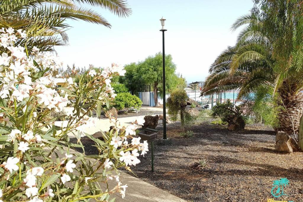 Appartement Bouganville Rez-De-Chaussee Wifi Costa De Antigua Eksteriør bilde