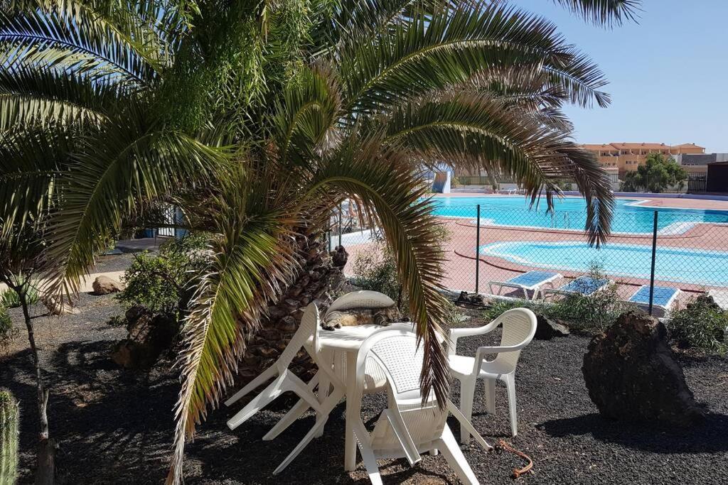 Appartement Bouganville Rez-De-Chaussee Wifi Costa De Antigua Eksteriør bilde